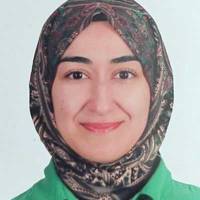 Rümeysa Ayten Yıldız