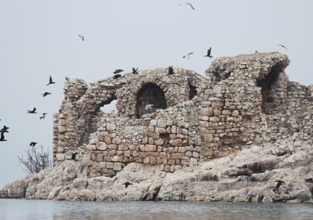 Beyşehir Gölü Milli Parkı’nda 153 kuş türü yaşıyor