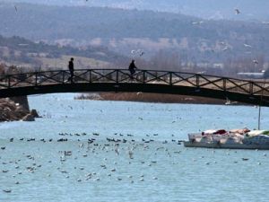 Beyşehir Gölü Milli Parkı’nda 153 kuş türü yaşıyor