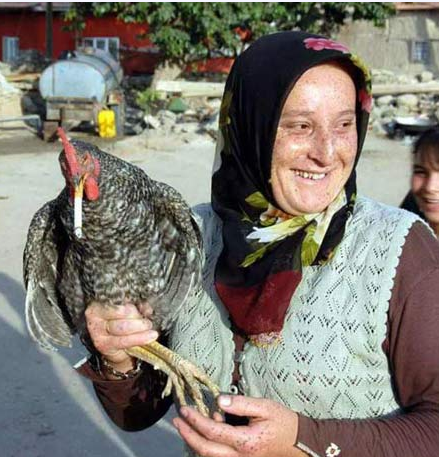 Yurdum insanı yine kırıp geçiriyor 12