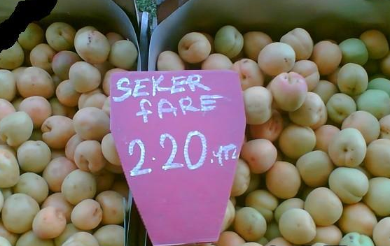 Yurdum insanı yine kırıp geçiriyor 17