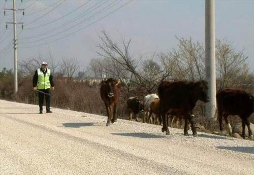 Yurdum insanı yine kırıp geçiriyor 38