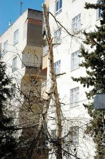Yurdum insanı yine kırıp geçiriyor 48