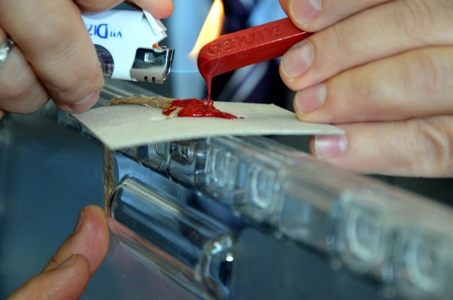 YURTTAN SEÇİM MANZARALARI 14