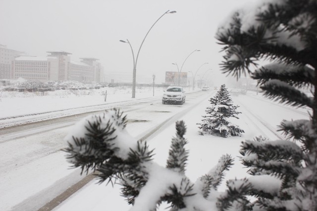 YURTTAN SEÇİM MANZARALARI 92