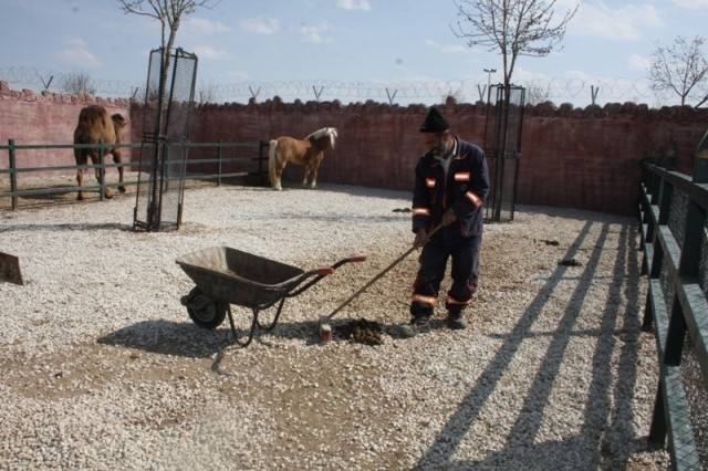 KAN VE GÖZYAŞININ ÜLKESİ (SURİYE) 101