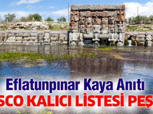 Eflatunpınar Kaya Anıtı, UNESCO Kalıcı Listesi peşinde