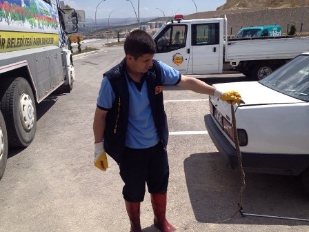 Konya'da yılan paniğe sebep oldu 2