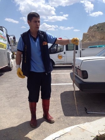 Konya'da yılan paniğe sebep oldu 3