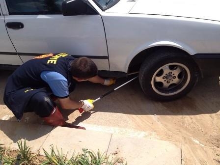 Konya'da yılan paniğe sebep oldu 4