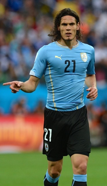 BREZİLYA 2014 389