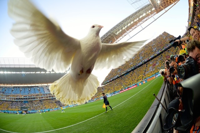 BREZİLYA 2014 49