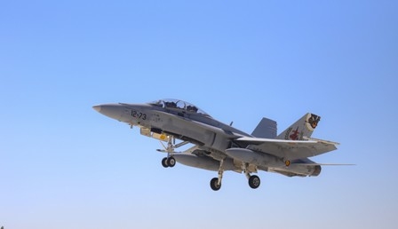 ANADOLU KARTALI KONYA'DA BÜYÜLEDİ 4