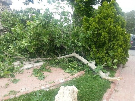 KONYA’NIN FIRTINA İLE İMTİHANI 1