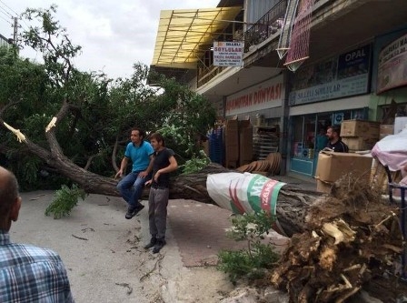 KONYA’NIN FIRTINA İLE İMTİHANI 3