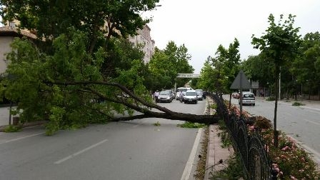 KONYA’NIN FIRTINA İLE İMTİHANI 6