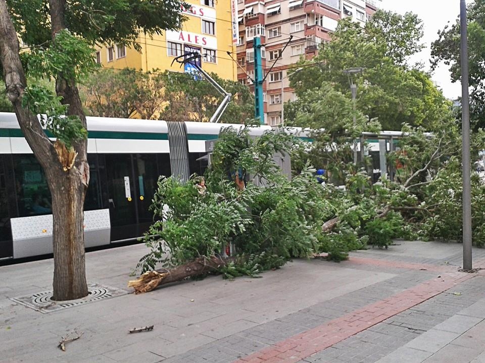 KONYA’NIN FIRTINA İLE İMTİHANI 8