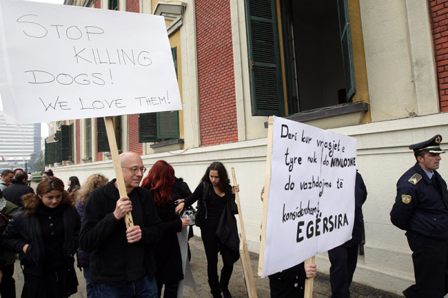 Dünyayı sarsan 50 fotoğraf karesi 4