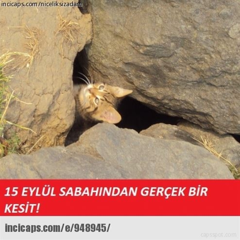 Eyvah okullar açıldı caps'leri 3
