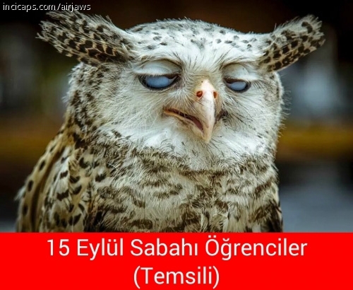 Eyvah okullar açıldı caps'leri 5