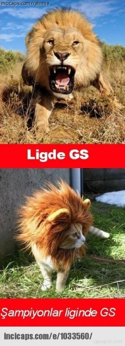 Galatasaray- Arsenal Capsleri 12
