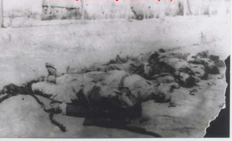 Dönemin Dersim manşetleri 6