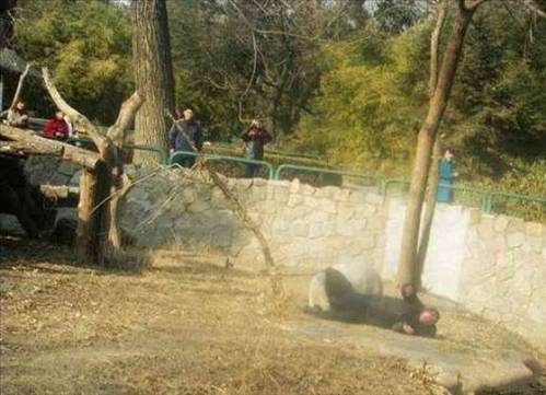 Hayvanların çıldırdığı anlar 5