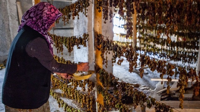 Türkiye'de sadece Konya'da 10