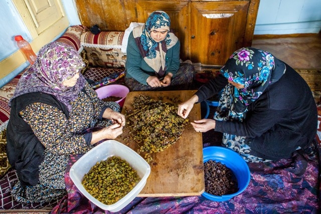 Türkiye'de sadece Konya'da 12