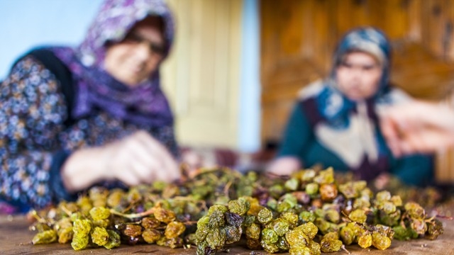 Türkiye'de sadece Konya'da 15