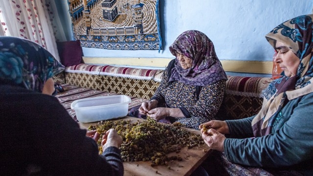 Türkiye'de sadece Konya'da 16