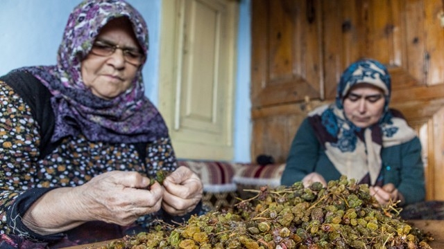Türkiye'de sadece Konya'da 17
