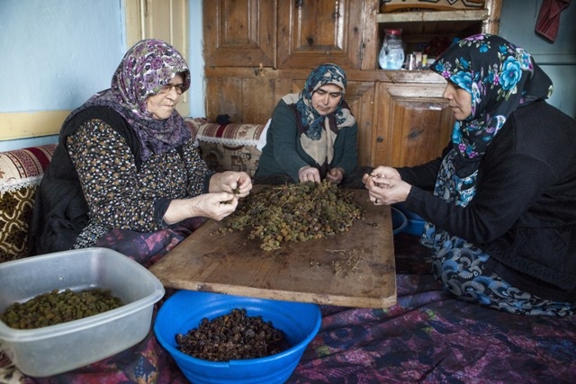 Türkiye'de sadece Konya'da 18