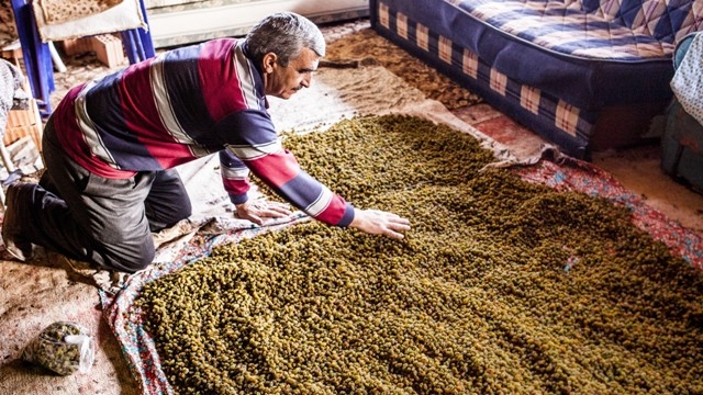 Türkiye'de sadece Konya'da 20