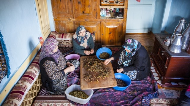 Türkiye'de sadece Konya'da 21