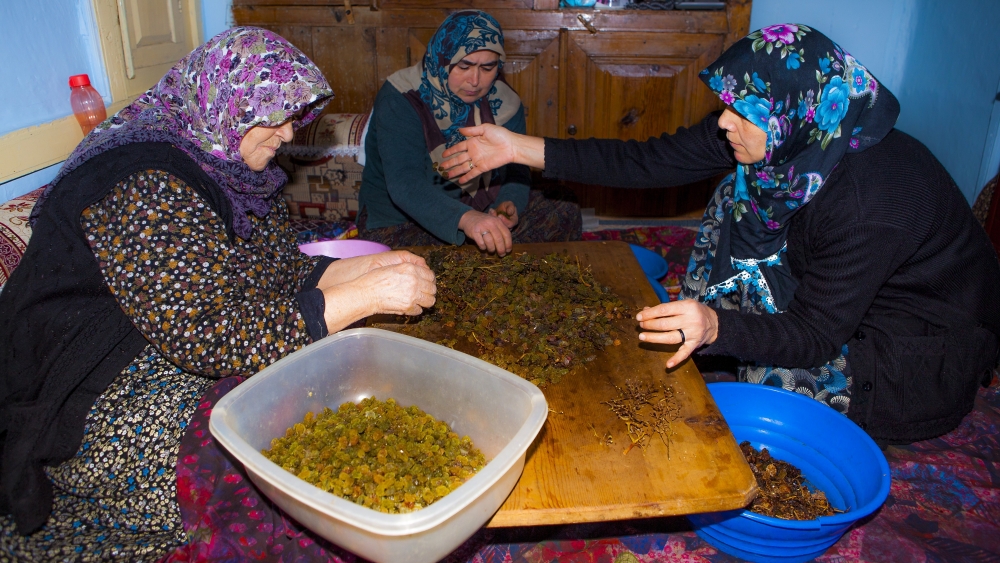 Türkiye'de sadece Konya'da 23