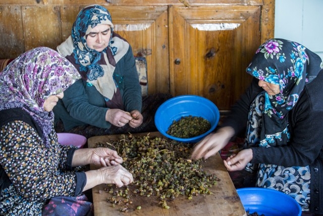 Türkiye'de sadece Konya'da 6