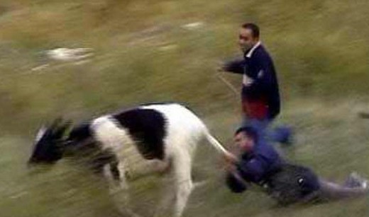Yurdum insanı gülme krizine sokuyor! 34