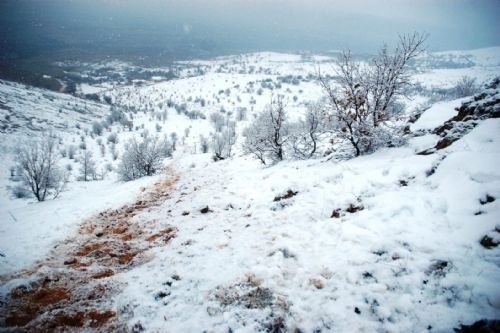 Düşen uçaklardan geriye kalanlar 14