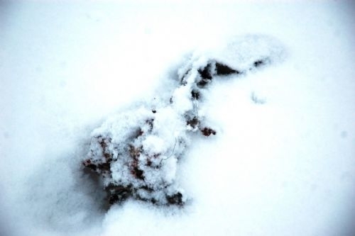 Düşen uçaklardan geriye kalanlar 17