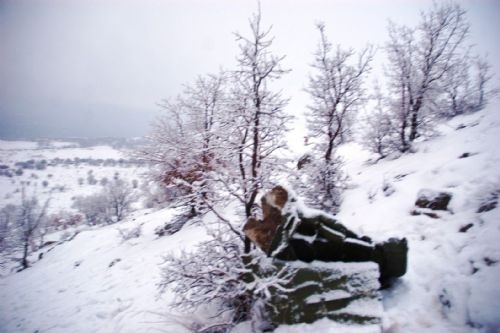 Düşen uçaklardan geriye kalanlar 8