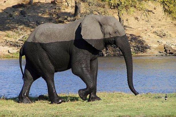 Fotoğraftaki İlginç Göz Yanılmaları 15