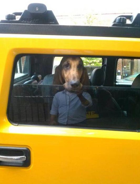 Fotoğraftaki İlginç Göz Yanılmaları 16