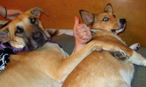 Fotoğraftaki İlginç Göz Yanılmaları 20