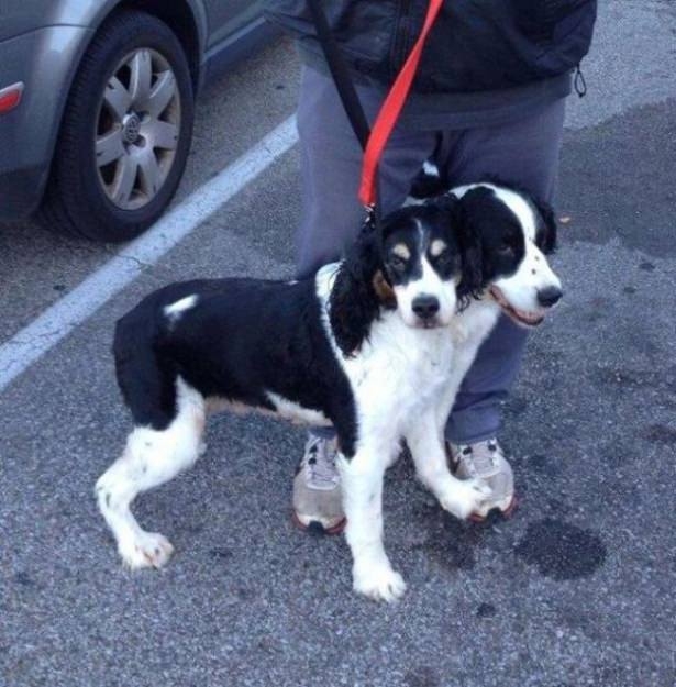 Fotoğraftaki İlginç Göz Yanılmaları 23