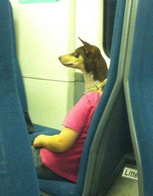 Fotoğraftaki İlginç Göz Yanılmaları 3