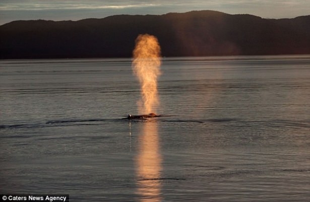 Fotoğraftaki İlginç Göz Yanılmaları 7