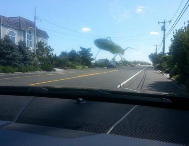 Fotoğraftaki İlginç Göz Yanılmaları 8