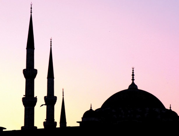 Tüm Eserleriyle 'Mimar Sinan' 69