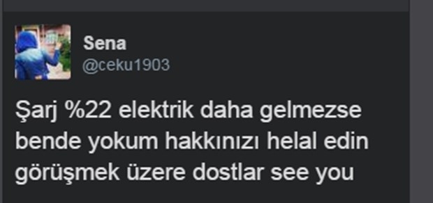 Sosyal medyada elektrik geyikleri 12